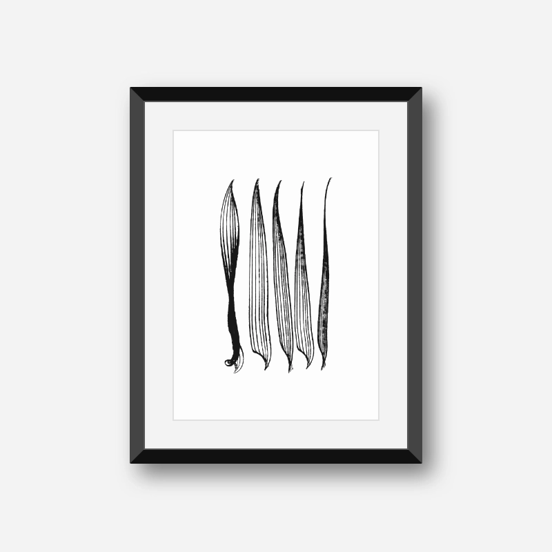 Abstract black and white minimalist drawing downloadable printable wall art