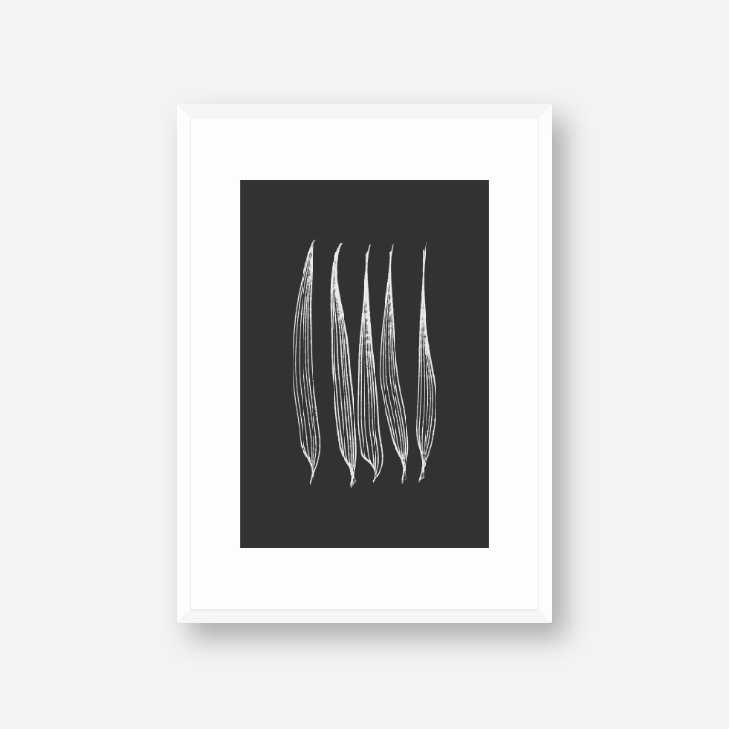Abstract black and white minimalist corn leaves downloadable free art print