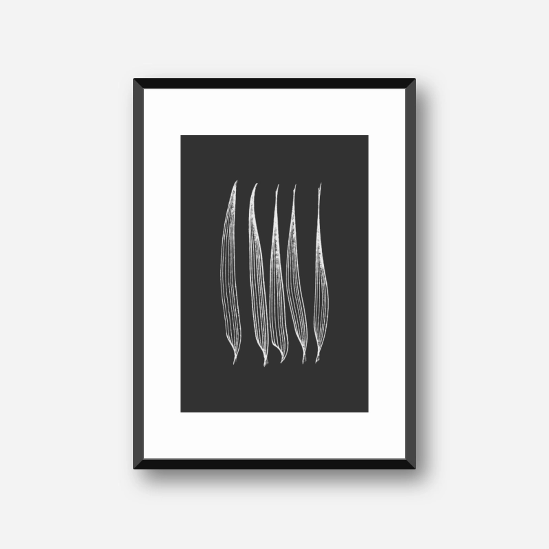 Abstract black and white minimalist corn leaves downloadable free art print